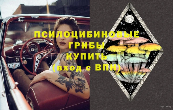гидра Алексин